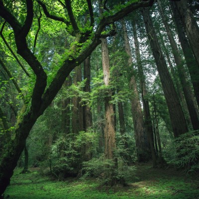 1920 x 1080 HD Wallpapers 2018